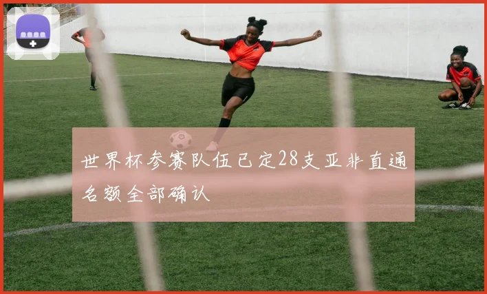 世界杯参赛队伍已定28支亚非直通名额全部确认
