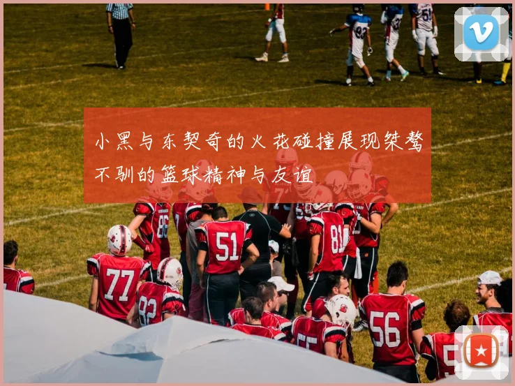 小黑与东契奇的火花碰撞展现桀骜不驯的篮球精神与友谊