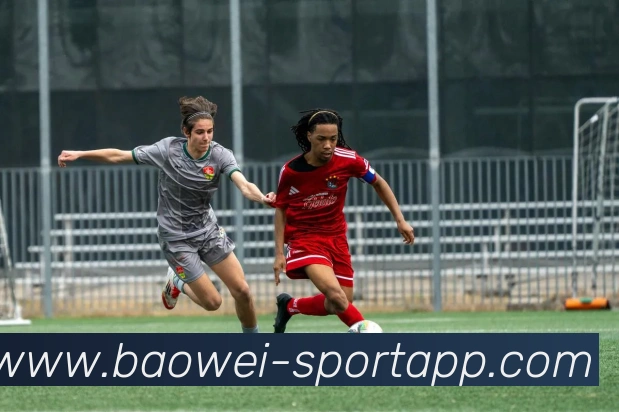 企业概况